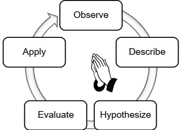 Culture learning cycle