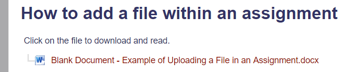 Screenshot of Assignment page with icon of file displayed with a short description in the description section to click on the file to open it.